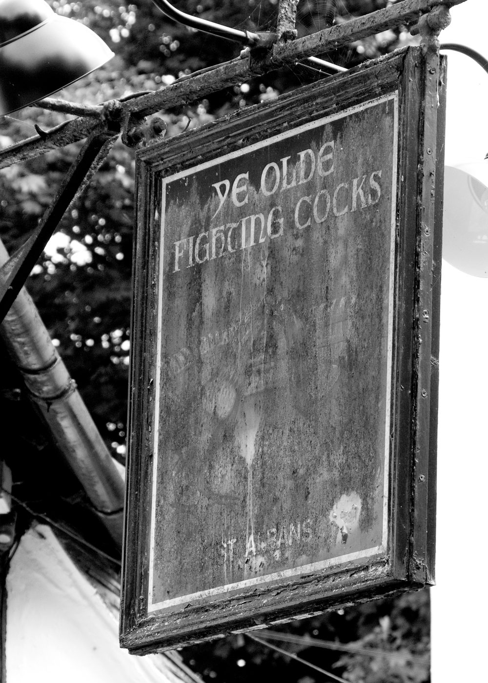 Fighting Cocks Pub Sign in St Albans